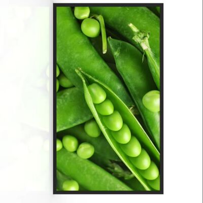 Купить 55-дюймовая IP67 водонепроницаемая наружная цифровая вывеска с яркостью 3000 нит Производство в сети